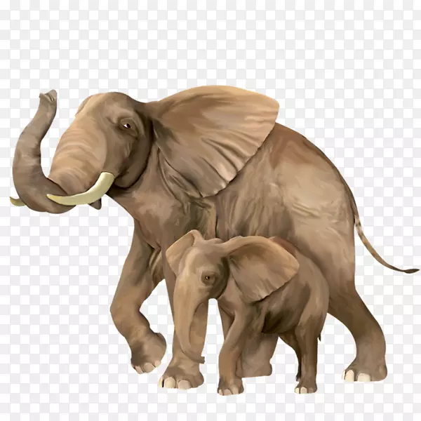 印度象剪贴画png图片图形.大象
