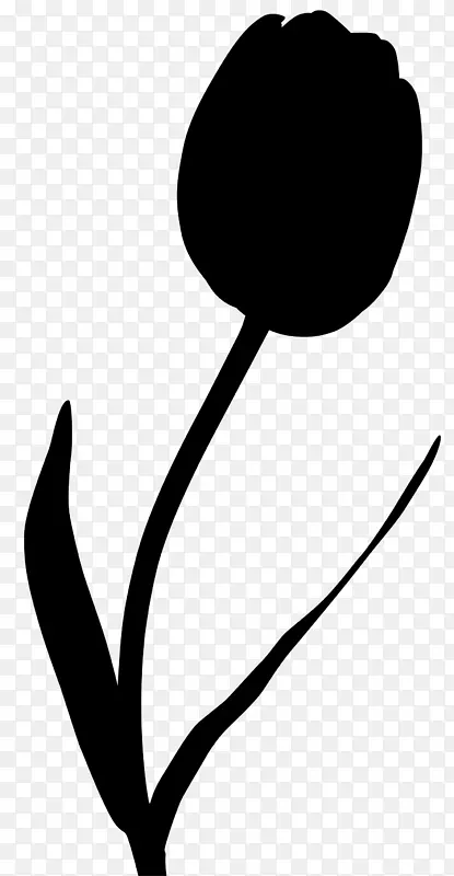 郁金香植物茎黑色红花