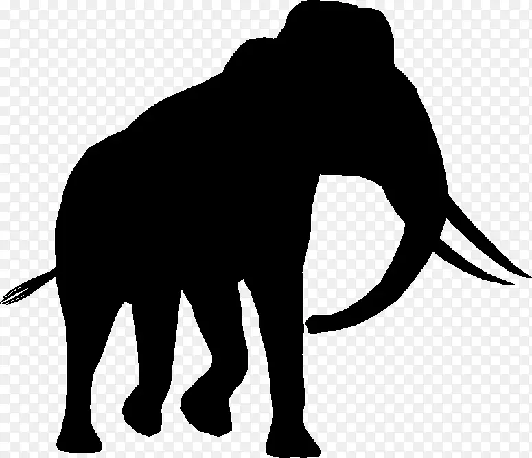 印度象非洲象猫陆生动物