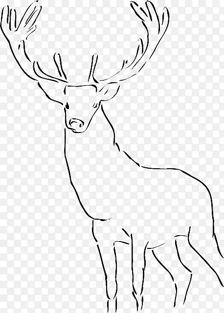 剪贴画图形插图鹿-关于图形