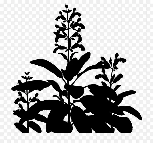 剪贴画开花植物茎叶