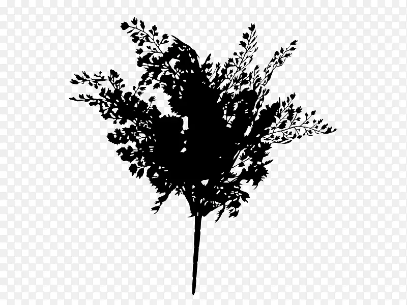 花卉茎叶桌面壁纸字体