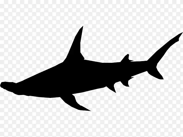 鲨鱼夹艺术动物海洋