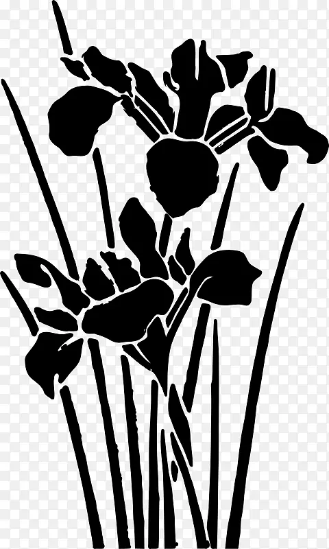 花卉设计视觉艺术插画