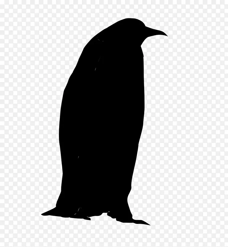 企鹅动物的侧影喙