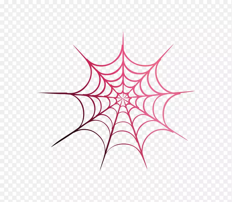 蜘蛛网图形图像插图