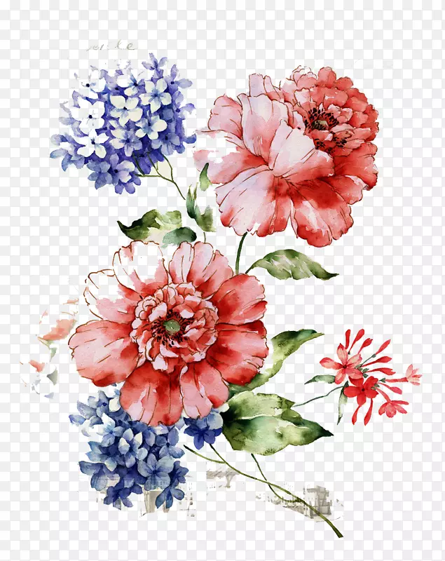 花卉设计花卉剪贴画png图片图案-花