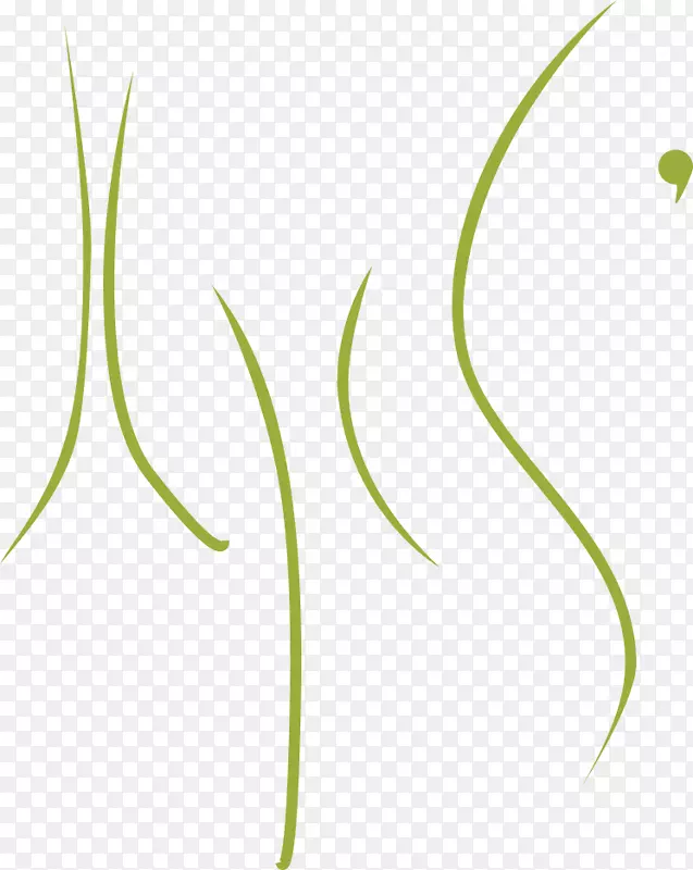 叶植物茎花角字体叶