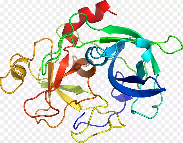 klk 6激肽释放酶基因癌结构域