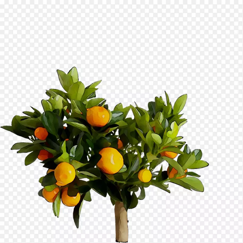柑橘人工花宜家食品