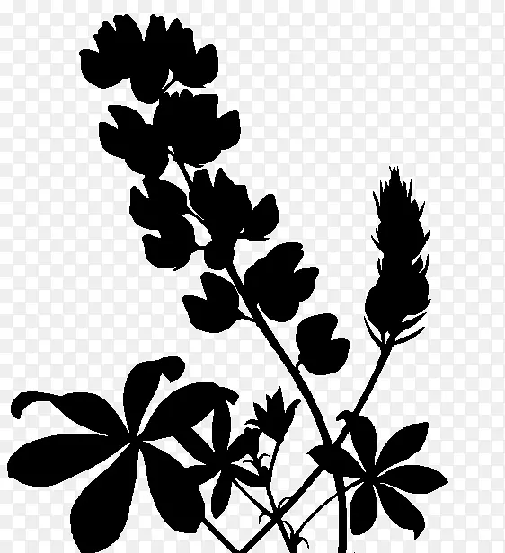 小枝植物茎叶字体轮廓