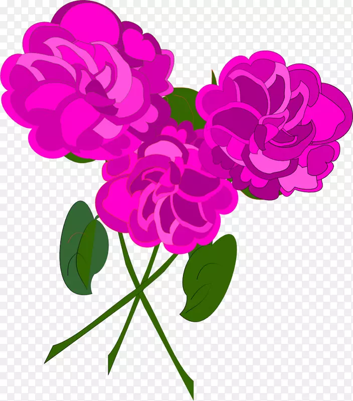 花园玫瑰切花设计-贝尔海报