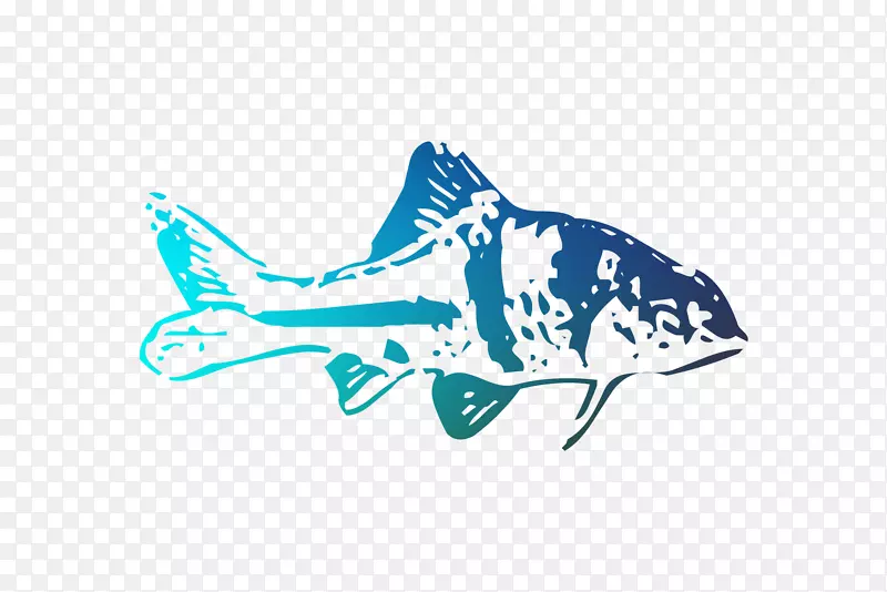 鲨鱼海豚标志软骨鱼插图