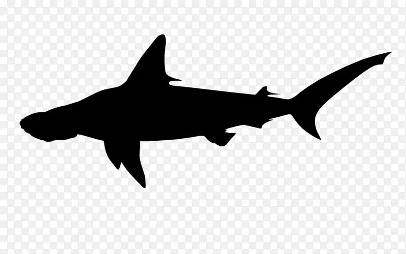 贴纸贴鲨鱼夹艺术纹身