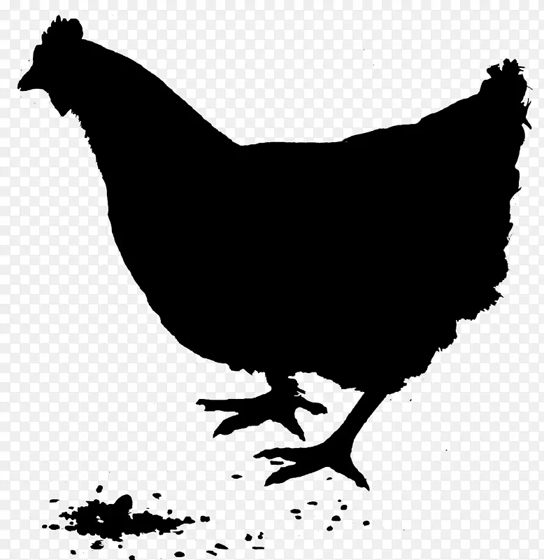 鸡的剪影图形鸡作为食物罗德岛红