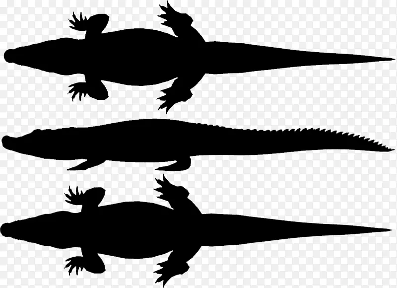 鳄鱼，海龟，两栖动物，动物剪贴画