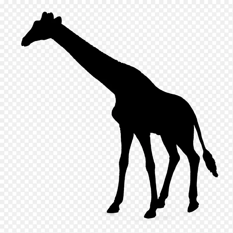 长颈鹿图形免版税照片插图