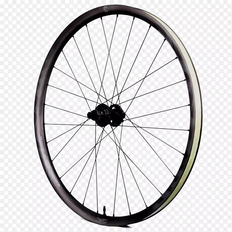 自行车车轮DT瑞士机动车轮胎