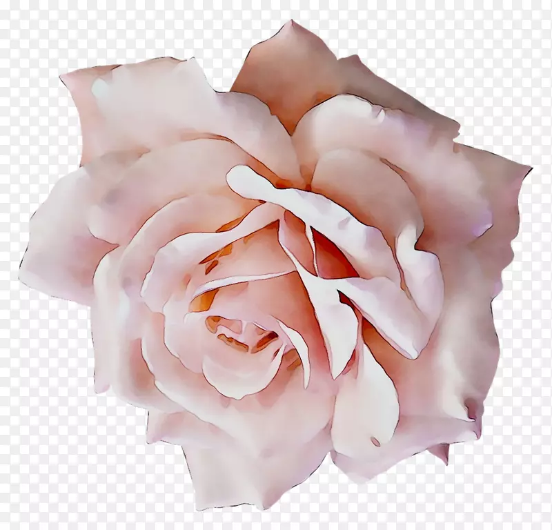 胸花花园玫瑰花，正式配饰，婚纱配件