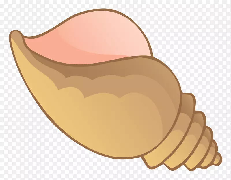 贝壳海螺夹艺术形象图.海贝壳