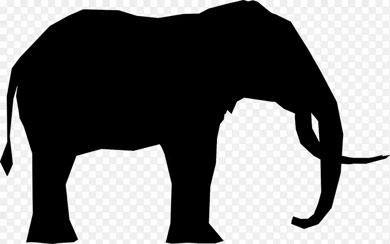 印度象非洲象马牛