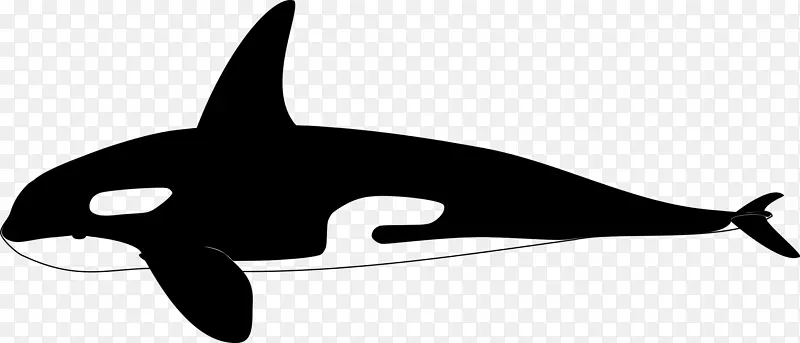 海豚剪艺术鲸鱼线
