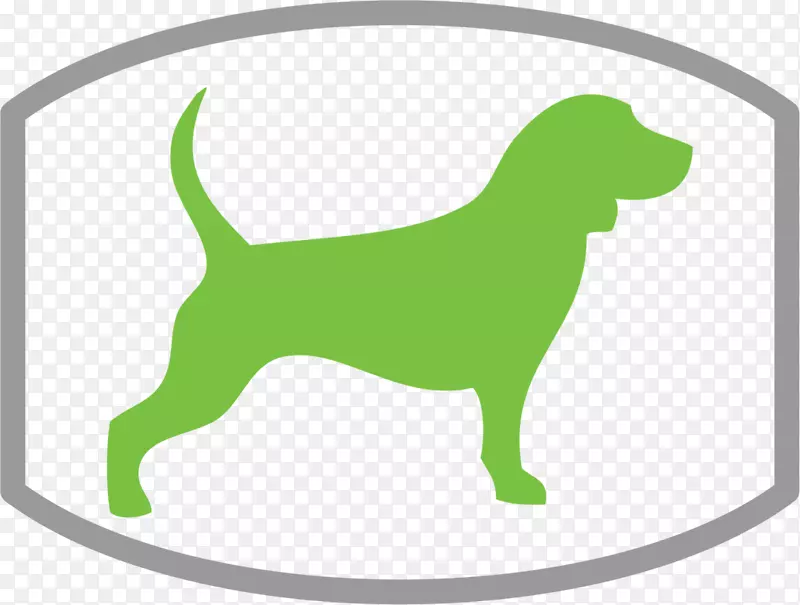 生态狗设计公司小狗训练犬遛狗