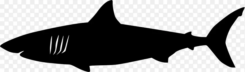 png图片需求鲨鱼图片剪贴画缩略图-ashigaru剪影