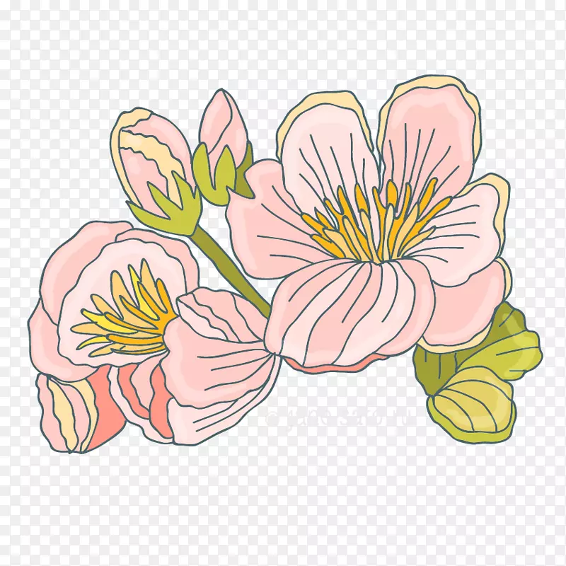 png图片图像花卉设计花卉剪贴画