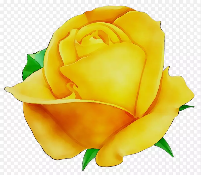花园玫瑰剪贴画图片png图片黄色
