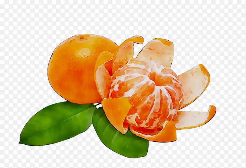 橘子，柚子，橘子
