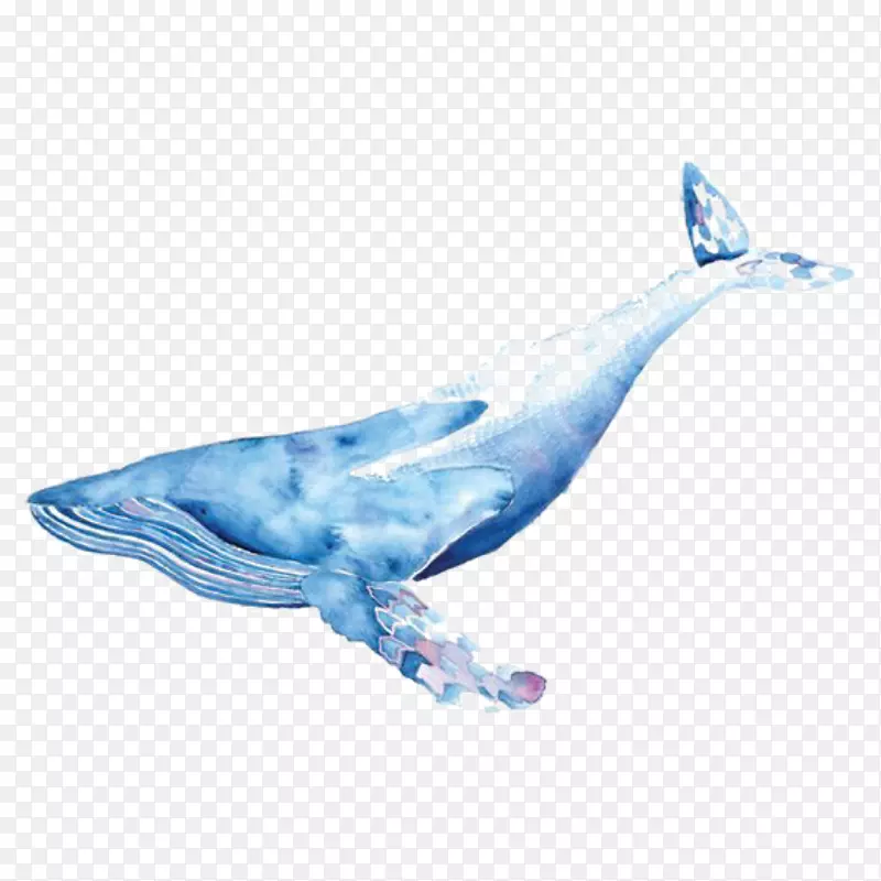 透明水彩画鲸鱼蓝鲸画