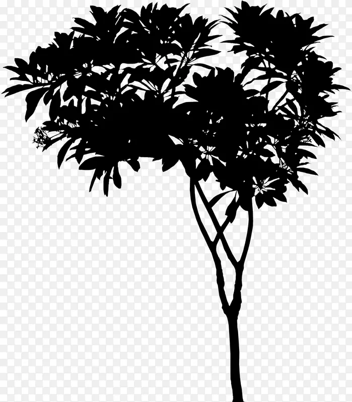 亚洲棕榈叶植物茎枝