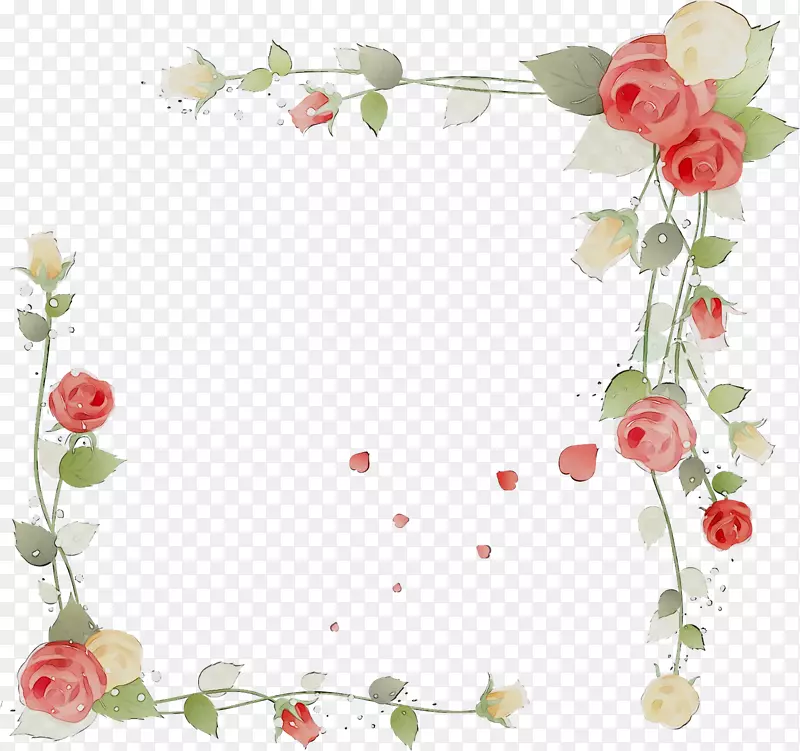 花园玫瑰花卉图案插花花瓣