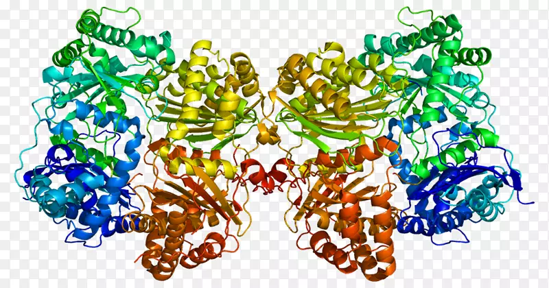 蛋白质酶RNA生物化学酶标记