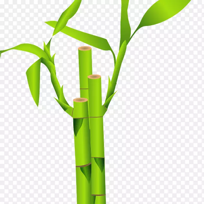 热带木本竹子剪贴画png图片图形.竹子