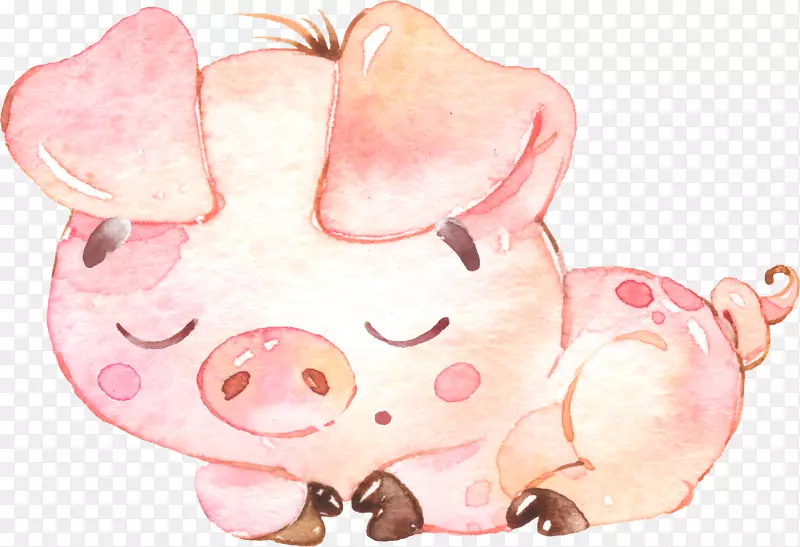 猪插图画水彩画意象-猪
