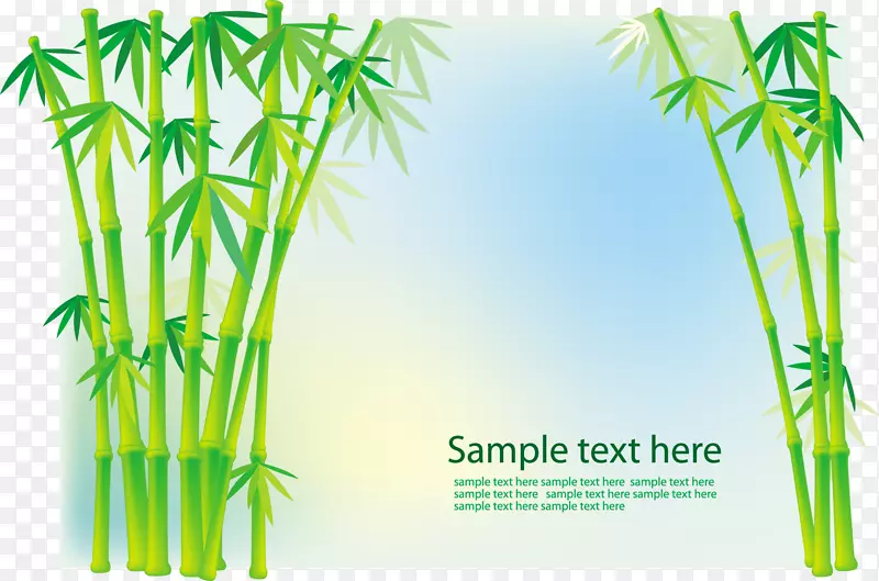 图形图像存储摄影热带木本竹子.竹子