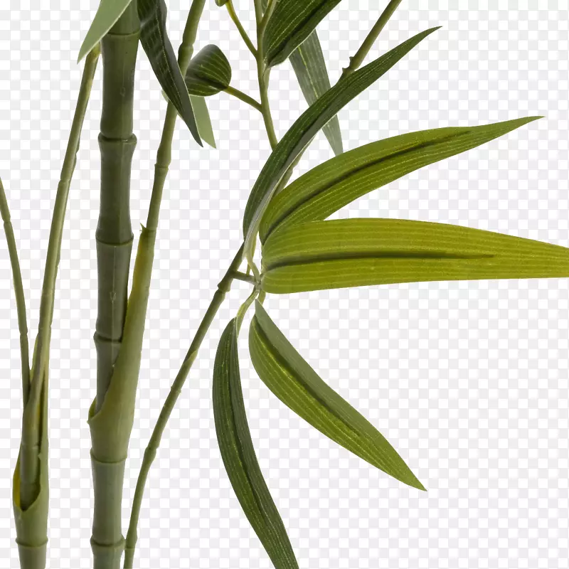 Bambou人工h 150 cm植物茎花瓶