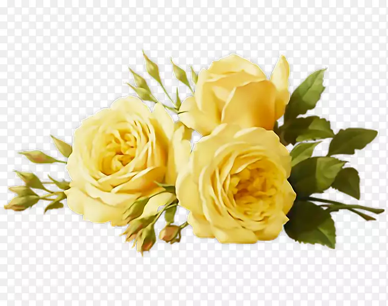 花卉玫瑰透明花卉设计png图片.SNSD边界