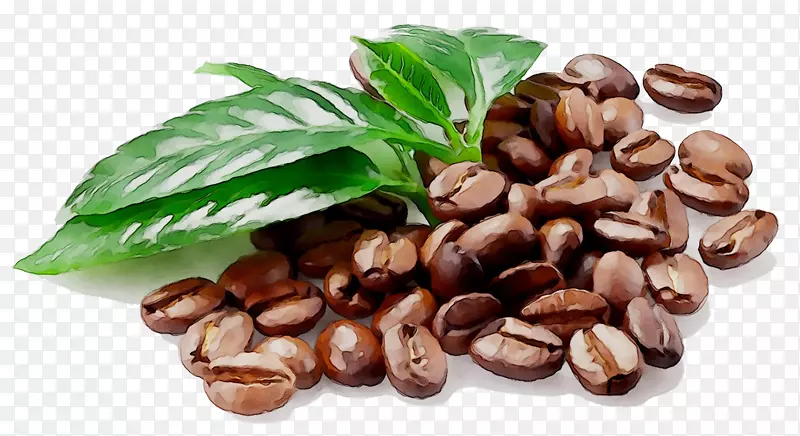 冰咖啡浓咖啡茶拿铁