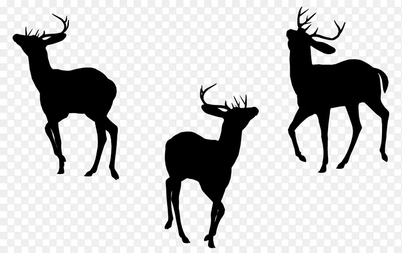 麋鹿鹿角动物字体