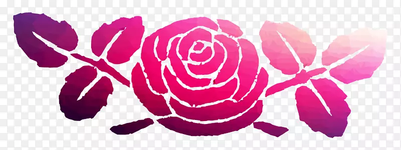 花园玫瑰插图粉红m