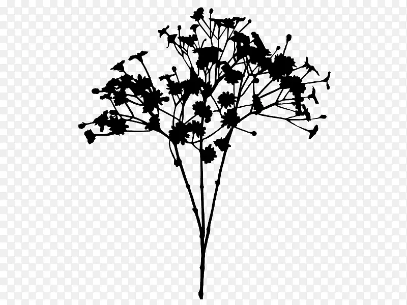 花卉茎叶字体线