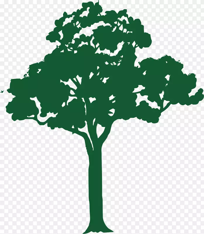 树枝，图形，剪贴画，版税-免费树