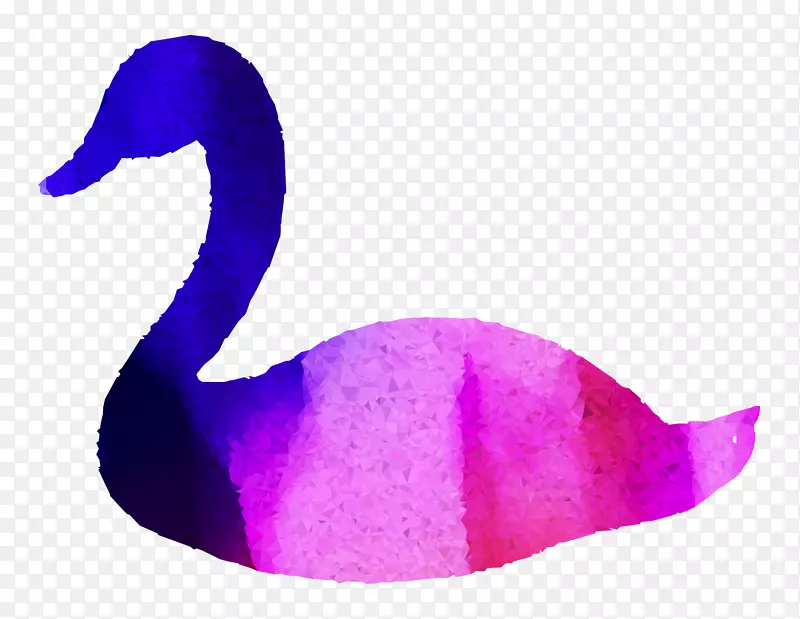 鸭嘴紫羽毛