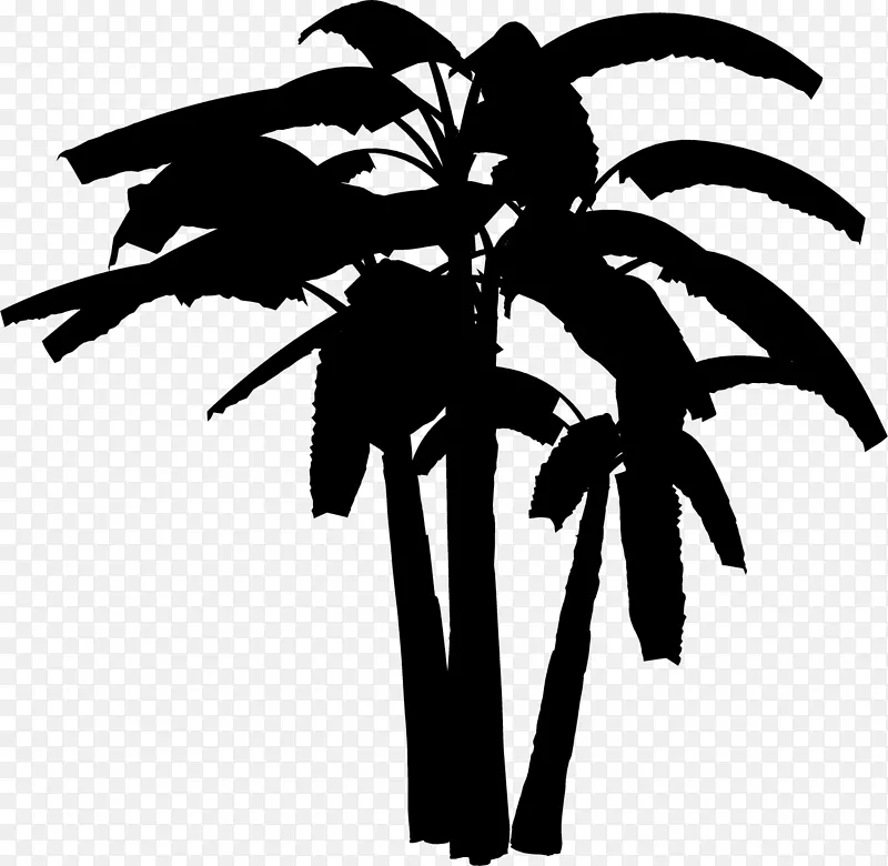棕榈树剪裁艺术叶植物茎花