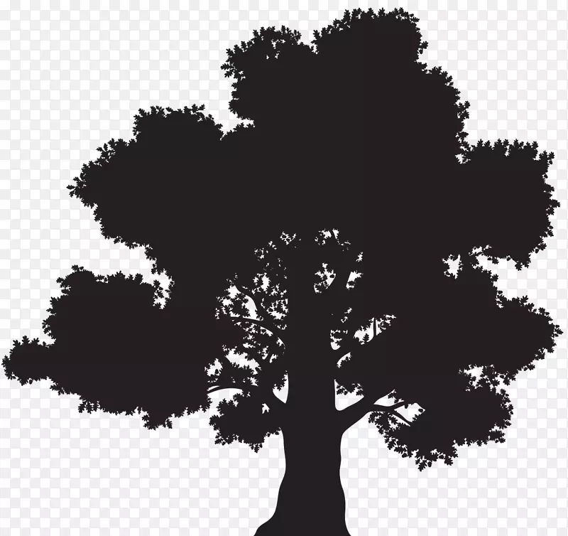 图形橡木免版税摄影插图.树