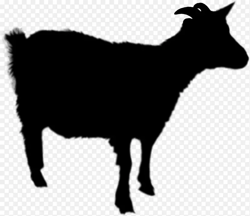 羊驴波尔山羊形象牛