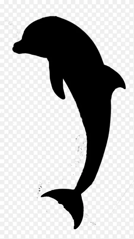 海豚鸟动物喙轮廓